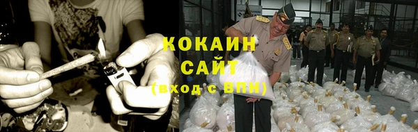 трава Няндома