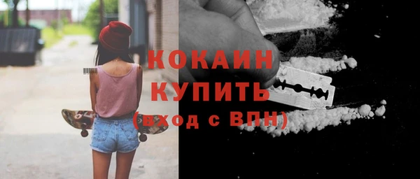 сатива Аша