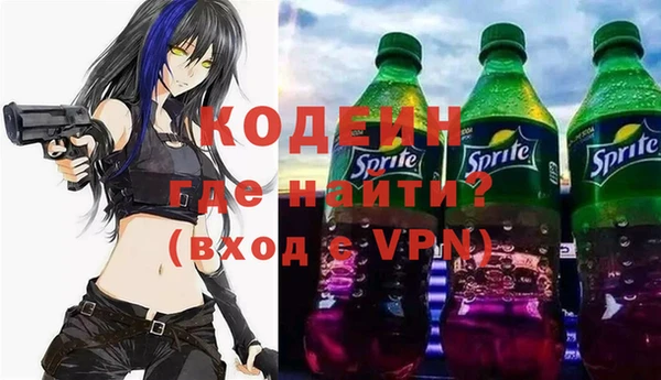 трава Няндома