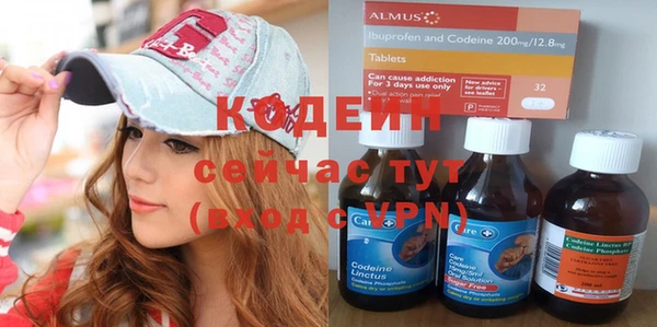 шишки Новозыбков