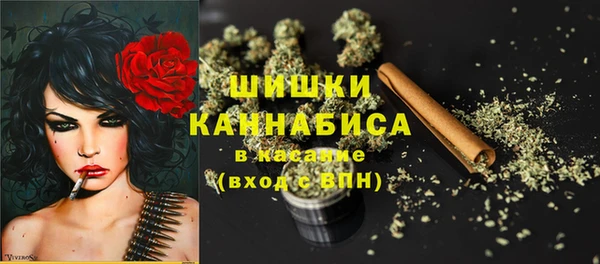 ГАЛЛЮЦИНОГЕННЫЕ ГРИБЫ Нягань