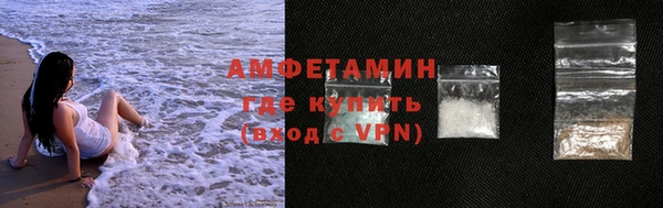 трава Няндома