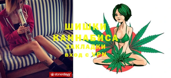 ГАЛЛЮЦИНОГЕННЫЕ ГРИБЫ Нягань