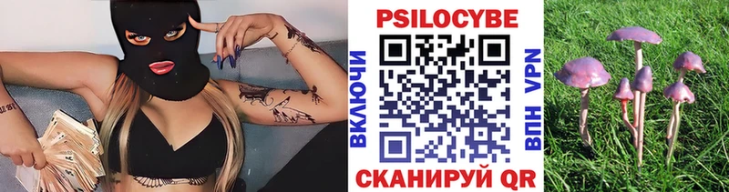 купить наркоту Власиха Псилоцибиновые грибы Cubensis